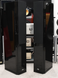 Aleva GT 602 Anniversary piano black (пара) 256091 фото 2